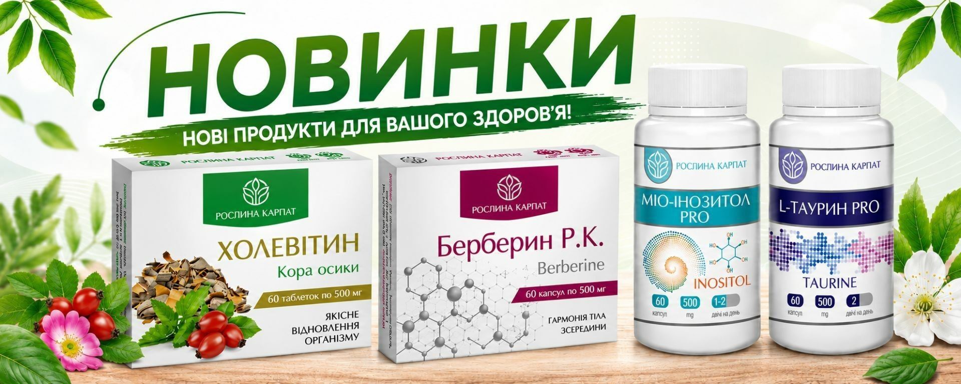 Каталог Растение Карпат